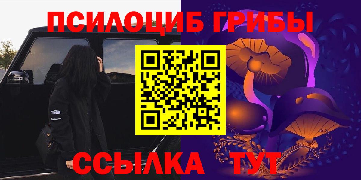 Галлюциногенные грибы Cubensis  Вход с VPN  Знаменск  Галлюциногенные грибы Cubensis 